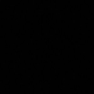 Meet your Posher, Hector